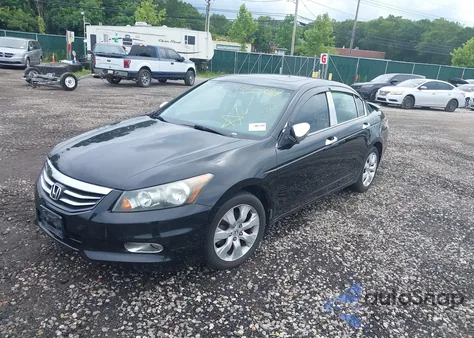 2010 Honda Accord Sdn 2.4 Ex-L/Ex-L из США, поврежденный, VIN 1HGCP2F8XAA068773